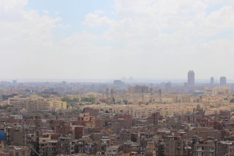 The Arabic Professor